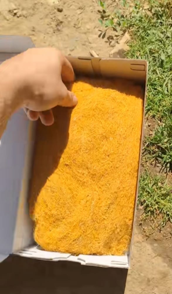 Doğruluk Ticaret Hasbitlis Tütünleri >05305587213< BİTLİS