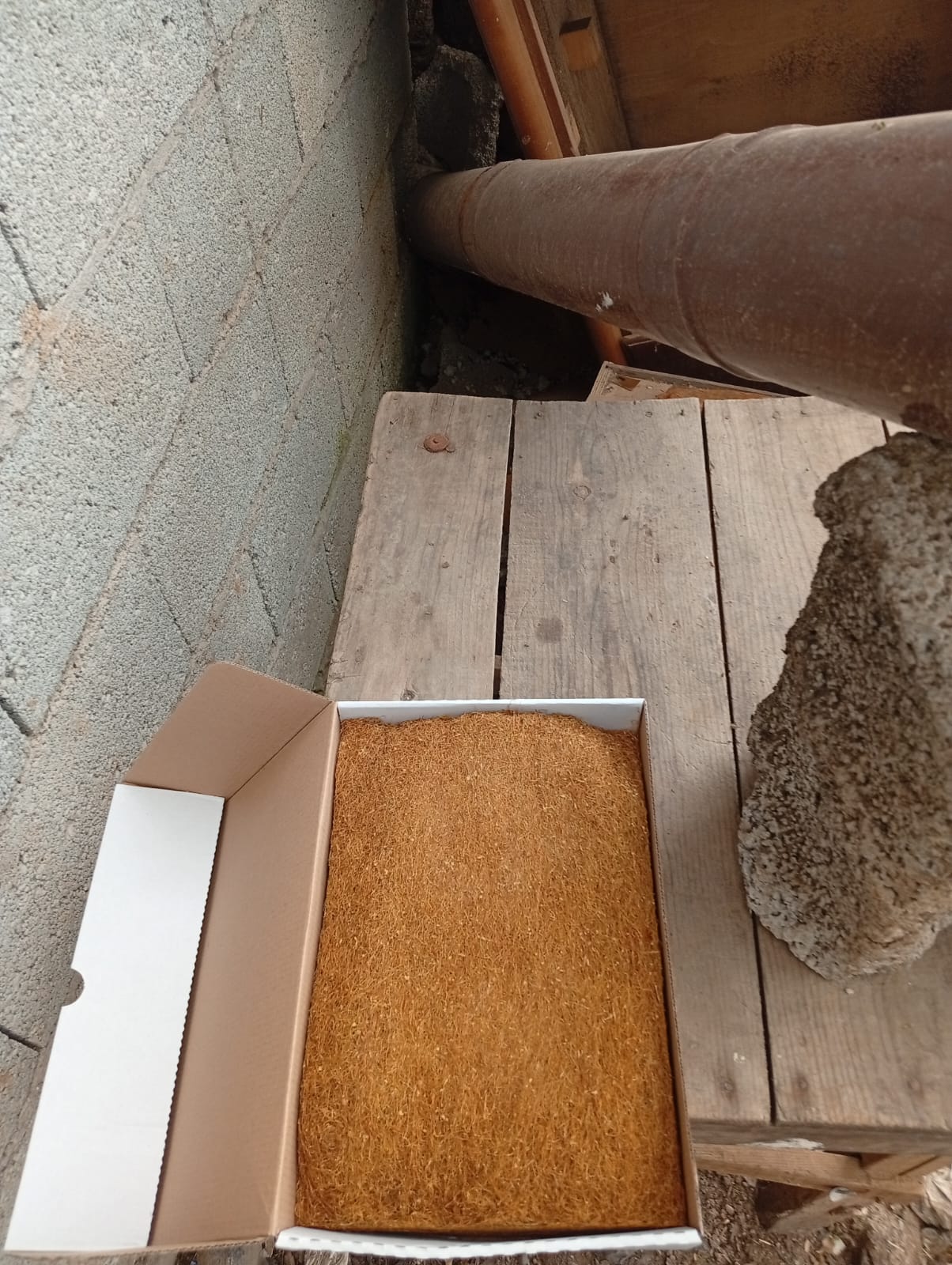 Doğruluk Ticaret Hasbitlis Tütünleri >05305587213< BİTLİS